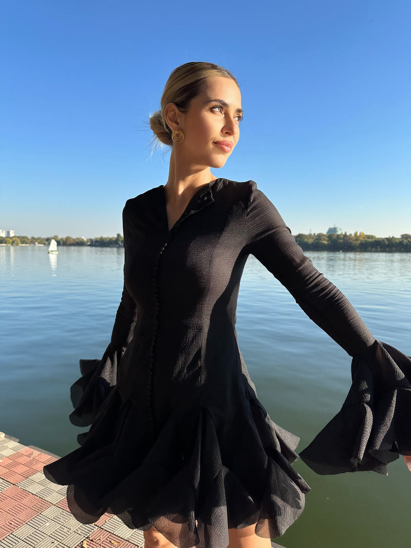 Black Swan Dress