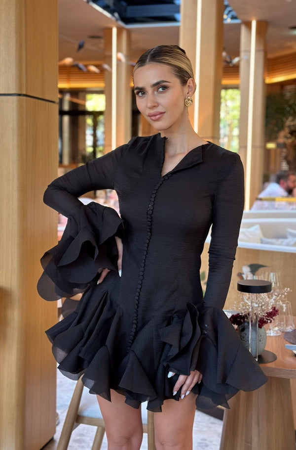 Black Swan Dress